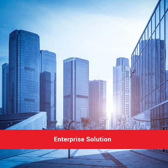 Enterprise Solution